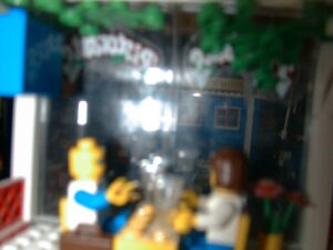 Blurred photo graph of the mini figs at the breezeway cafe